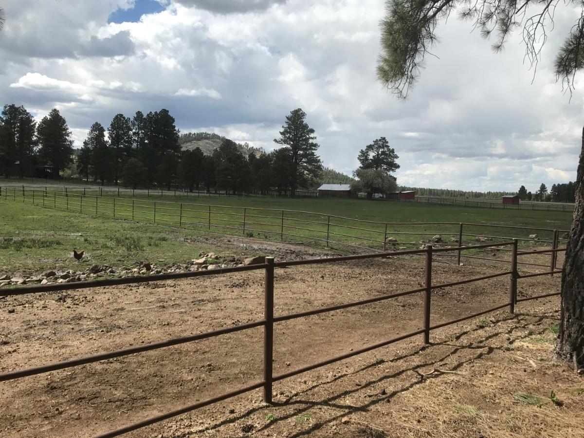 Grand Canyon Cottage At Historic Wrigley Ranch With Horseback Riding & Shooting Parks エクステリア 写真