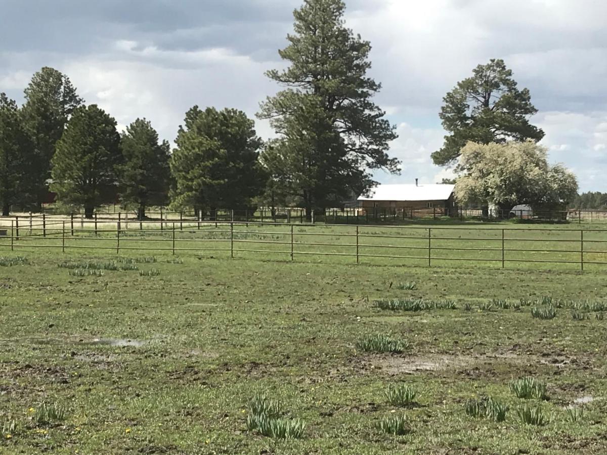Grand Canyon Cottage At Historic Wrigley Ranch With Horseback Riding & Shooting Parks エクステリア 写真